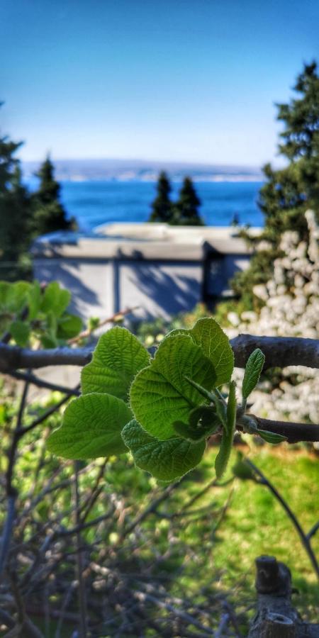 Apartments Matejcic Crikvenica Εξωτερικό φωτογραφία